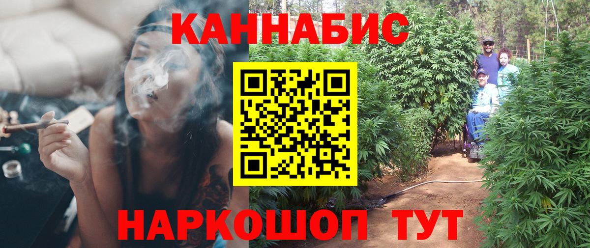 Бошки Шишки ГИДРОПОН  Конопля гибрид  Бошки Шишки тримм  Выборг  Вход с VPN  Конопля планчик 